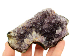 One large druzy amethyst 100mm on hand with white background