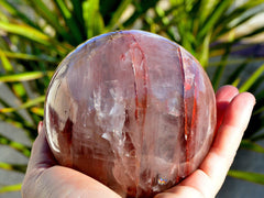 One big fire hematoid quartz crystal sphere 90mm on hand with  background with green plants