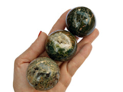 Three ocean jasper sphere crystals 45mm on hand with white background
