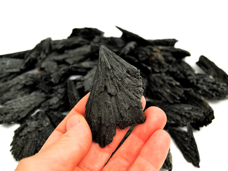 One raw black kyanite stone 70mm on hand with background with some crystals on white