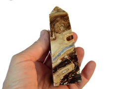 One large chocolate calcite tower points on hand with white background