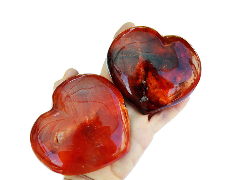 Two big carnelian heart carved stones on hand with white background