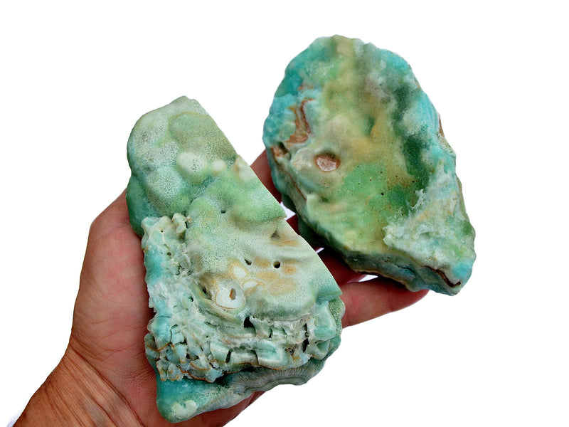 Two pastel blue aragonite raw specimens on hand with white background