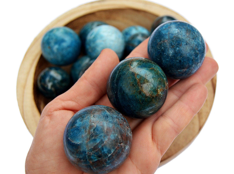 Three blue apatite sphere crystals 45mm on hand with background with some balls inside a wood bowl on white