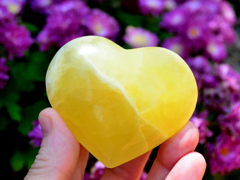 One lemon calcite crystal heart 50mm on hand with background with purple flowers