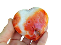 One large carnelian heart shapped crystal on hand with white background