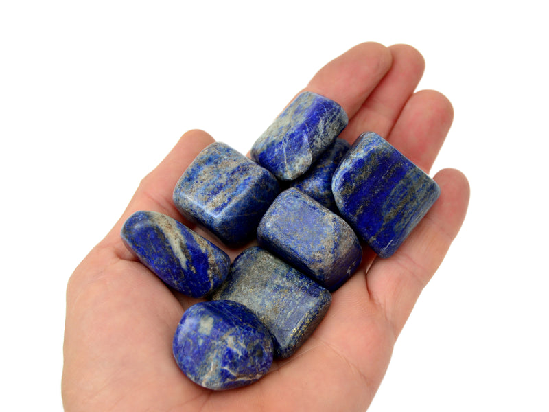 Eight lapis lazuli tumbled crystals on hand with white background