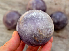 One purple lepidolite crystal sphere 60mm on hand with background with some balls on wood table