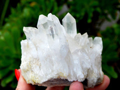One raw chunky quartz cluster on hand with background with green plants