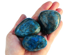 Three large blue apatite tumbled crystals on hand with white background
