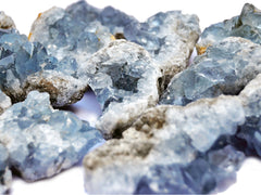 Several celestite raw crystals on white background