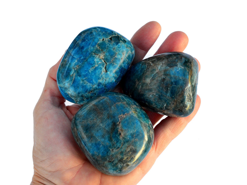 Three large blue apatite tumbled minerals on hand with white background
