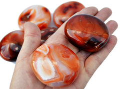 Two carnelian palm stones 40mm-50mm on had with background with some stones on white