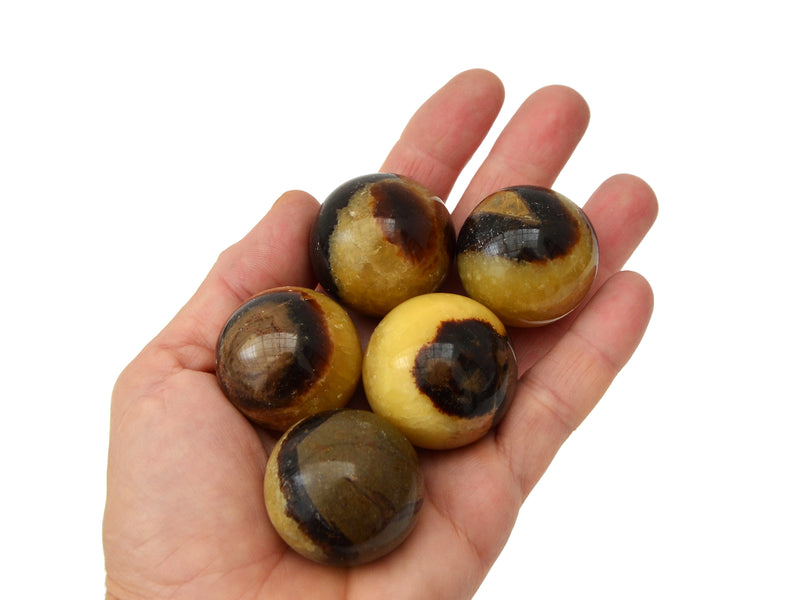 Septarian crystal balls 35mm on hand with white background