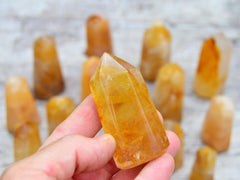 One small golden healer quartz crystal tower on hand with background with several points on wood table
