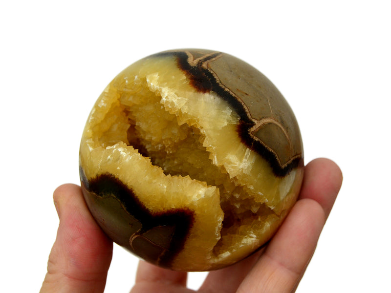 One druzy septarian sphere 70mm on hand with hite background