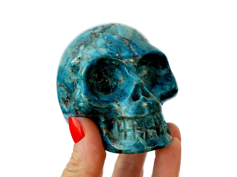 One blue apatite skull crystall 68mm on hand with white background