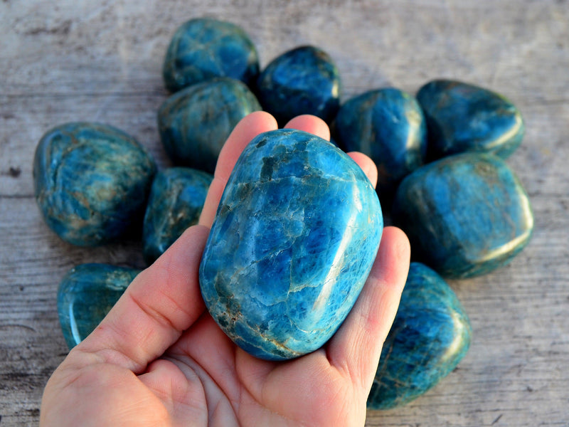 One large blue apatite tumbled mineral on hand with background with some tumbled stones on wood table