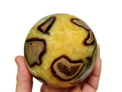 One large septarian sphere on hand with white background