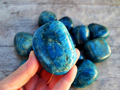 One chunky blue apatite tumbled mineral on hand with background with some tumbled stones on wood table