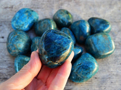 One big blue apatite tumbled mineral on hand with background with some tumbled stones on wood table