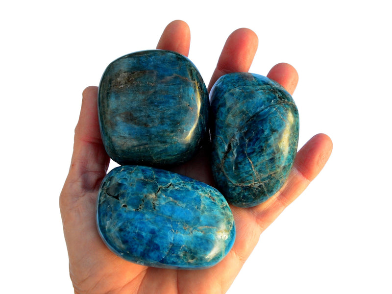Three big blue apatite tumbled minerals on hand with white background