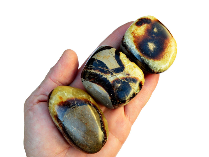 Three large yellow septarian tumbled crystals on hand with white background