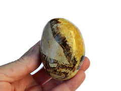 One large yellow septarian tumbled mineral on hand with white background