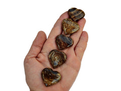 Five small chocolate calcite shapped heart minerals on hand with white background