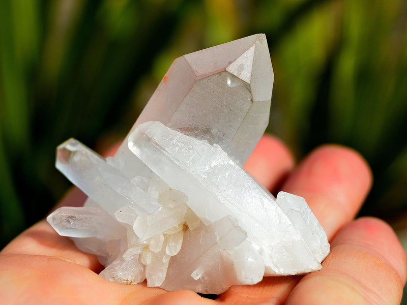 One crystal quartz cluster on hand with background with green plants