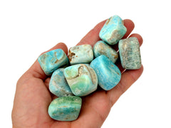 Nine blue aragonite cube tumbled crystals on hand with white background