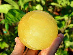 One large lemon calcite sphere crystal 55mm on hand with green plants