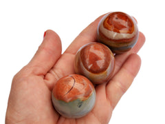 Three polychrome jasper sphere crystals 35mm on hand with white background