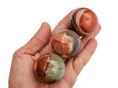 Three polychrome jasper sphere crystals 40mm on hand with white background
