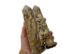 Two large druzy chocolate calcite towers 170-180mm on hand with white background