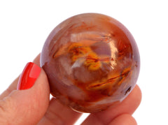One natural carnelian sphere stone 55mm on hand with white background