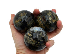 Three green and brown ocean jasper spheres 55mm - 60mm on hand with white background