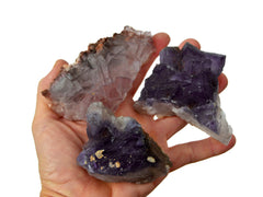 Three druzy purple fluorite crystals on hand with white background