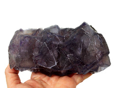 One extra large purple fluorite cluster on hand with white background