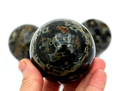 One green and beide ocean jasper mineral sphere 60mm on hand with white background