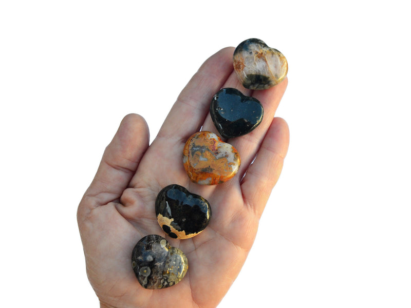 Five ocean jasper heart shapped crystals 30mm on hand with white background