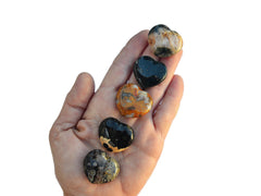 Five ocean jasper shapped heart minerals 30mm on hand with white background