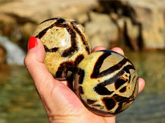 Two yellow septarian sphere crystals 70mm on hand with river landscape background