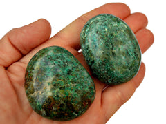 Two chrysocolla palm stones 50mm on hand with white background