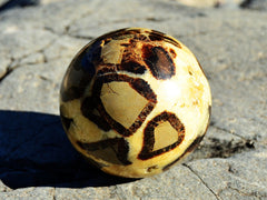 Large yellow septarian sphere crystal 90mm on natural rock background