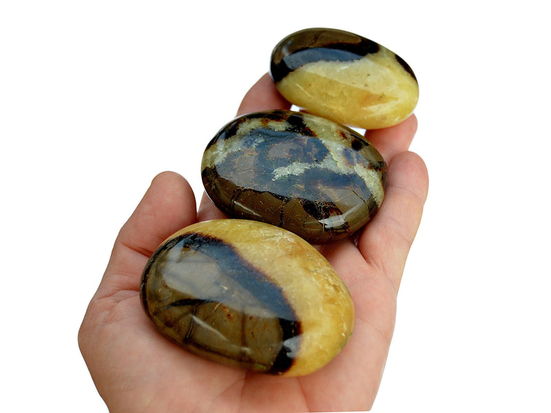Three yellow septarian palm stones 60mm-70mm on hand with background with some stones on white