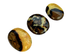 Three septarian palm stones 40mm-70mm on hand with white background