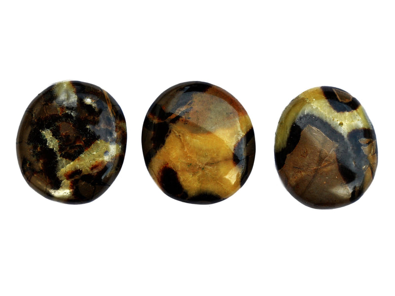 Three yellow septarian palm stone crystals 50mm-60mm on white background