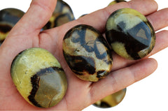 Three yellow septarian palm stones 40mm-50mm on hand with background with some crystals on white
