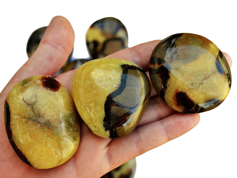 Three yellow septarian palm stones 50mm - 60mm on hand with background with some crystals on white